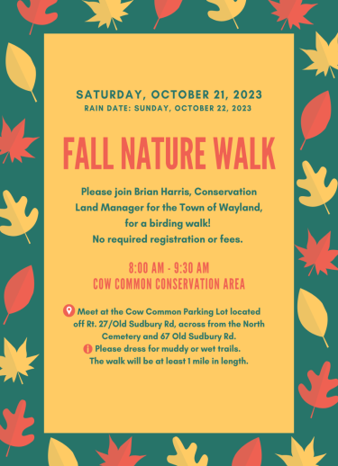 fall nature walk - october 21 cow common