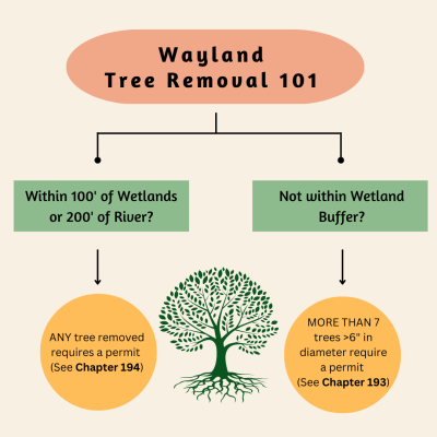 wayland tree removal