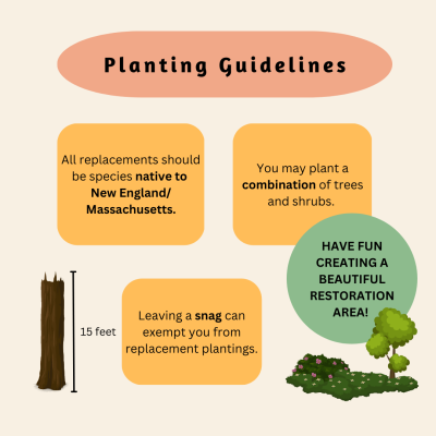Planting guidelines