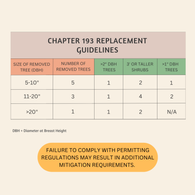 ch193 replacement guidelines