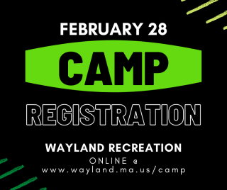 Camp Registration 
