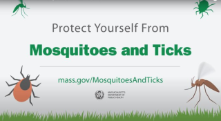 mass.gov ticks and mosquito slide