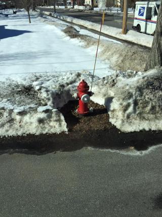 Private Fire Hydrants