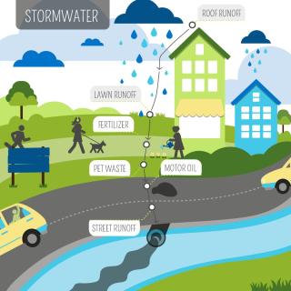 Stormwater Causes