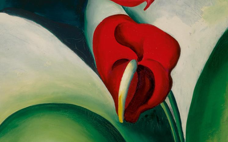 Georgia O'Keeffe flower 
