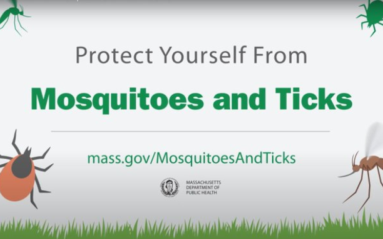 mass.gov ticks and mosquito slide