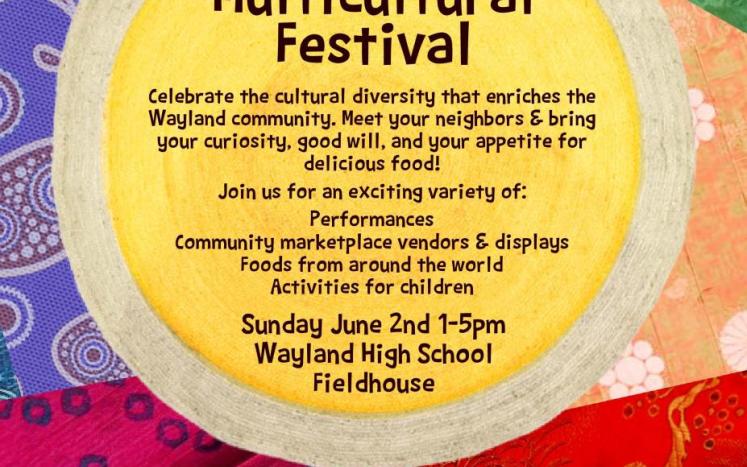 Multicultural Festival Flyer