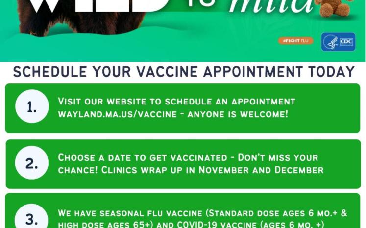 Updated and Final Flu/Covid Clinics-Wayland
